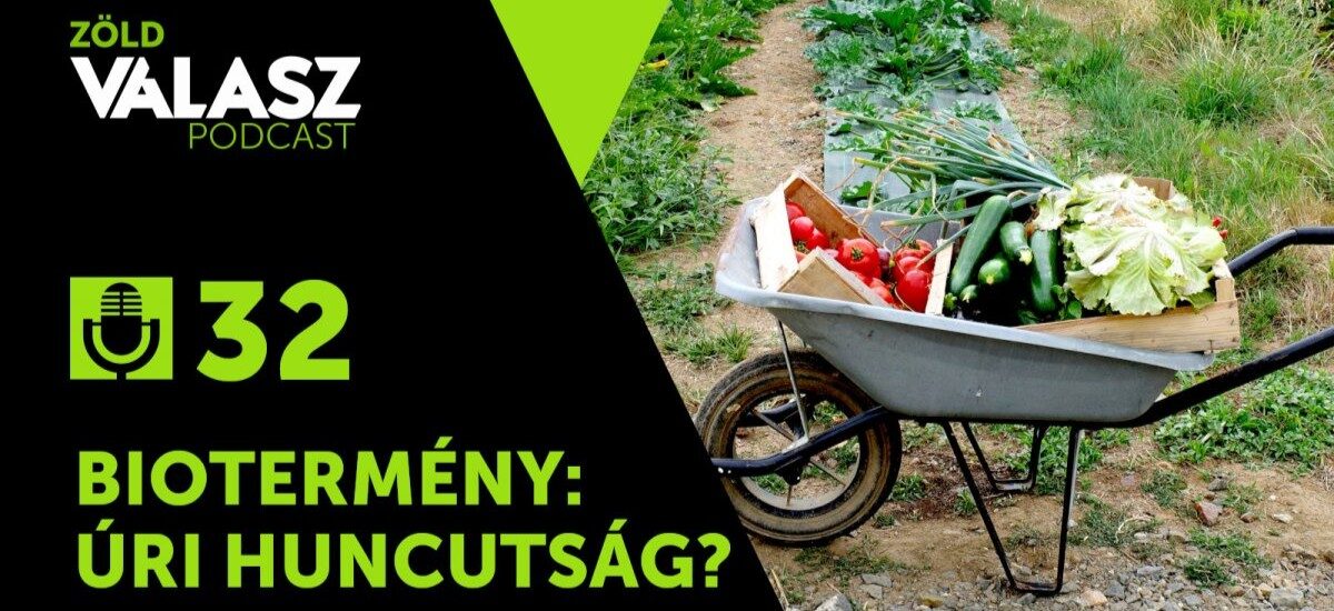 Gyomirtóval érlelt napraforgó és „koktélhatás” – ezért fontos a bioélelmiszer [ZöldVálasz #32]
