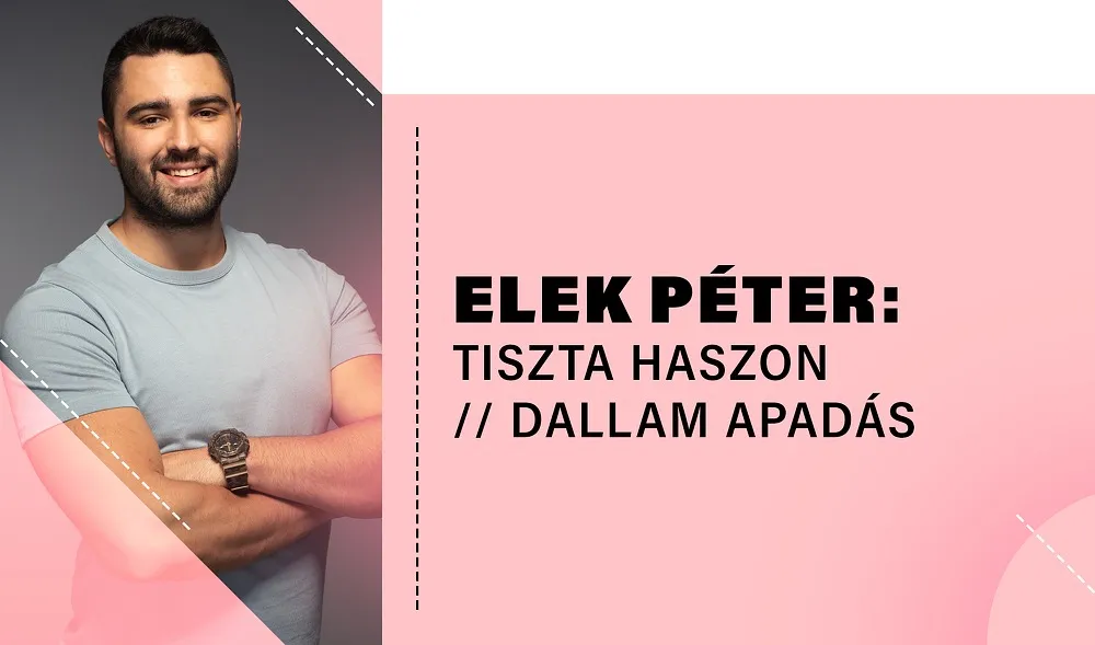 Elek Péter: Tiszta haszon // Dallam apadás