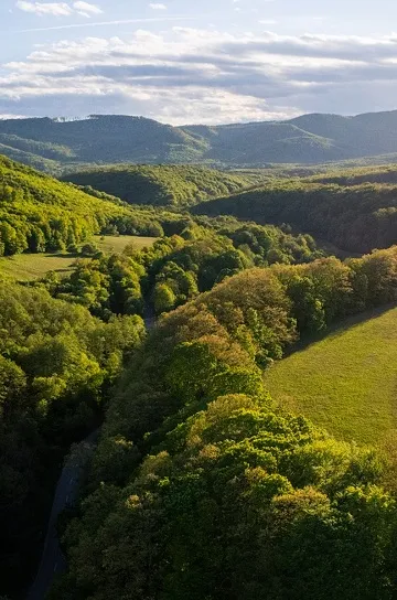 GarázsSasvár